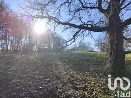 vente terrain à domme (24250) : à vendre / 2465m² domme