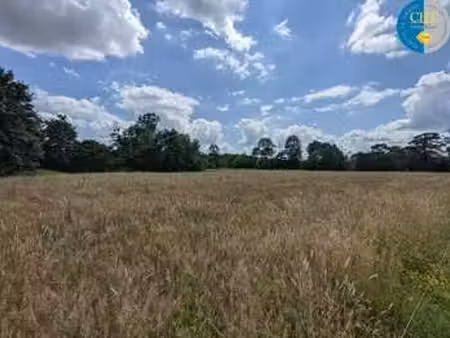 vente terrain à plélan-le-grand (35380) : à vendre / plélan-le-grand