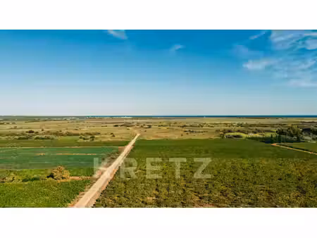 propriété viticole à vendre à gruissan