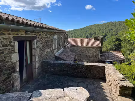 mas cevenol avec magnifique vue et piscine