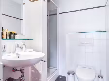 appartement 1 ch à louer à dilbeek - epc b