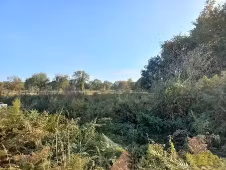 vente terrain 426 m² à le hinglé (22100)  49 000 €