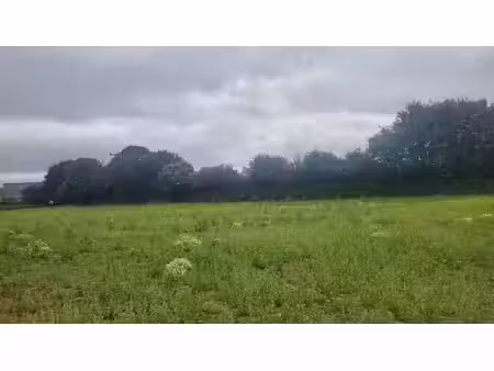 vente terrain 339 m² à landivisiau (29400)  55 000 €