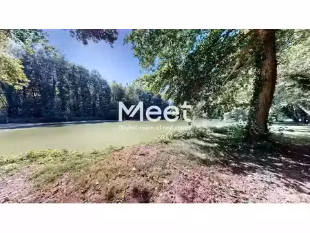vente terrain 10891 m² à poilly-sur-tholon (89110)  55 900 €