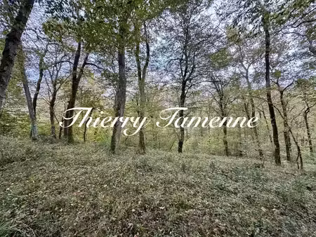 vente terrain 82016 m² à barbaste (47230)  60 000 €