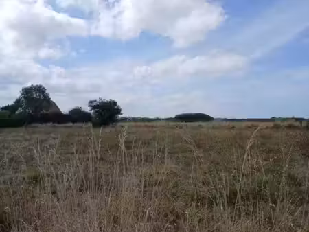 vente terrain 450 m² à longues-sur-mer (14400)  60 000 €