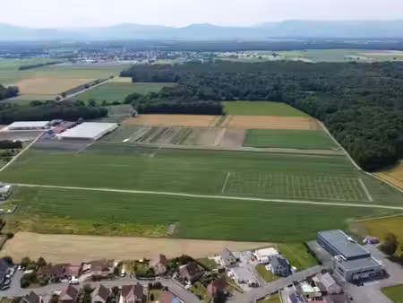 vente terrain 689 m² à bindernheim (67600)  117 130 €