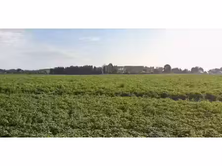vente terrain 489 m² à râches (59194)  102 989 €