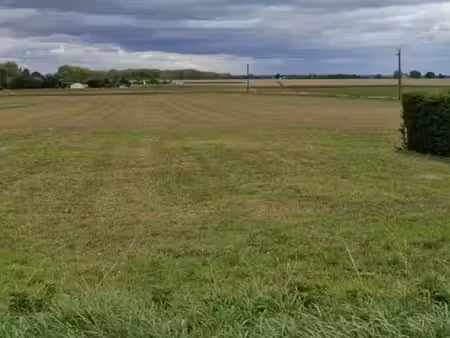 vente terrain 1300 m² à thil (31530)  95 000 €