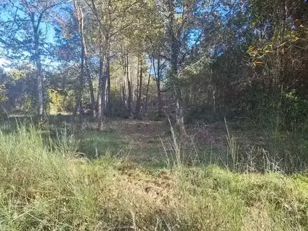 vente terrain à saint-sauveur (33250)  130 300 €