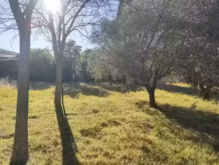vente terrain 316 m² à congénies (30111)  135 000 €