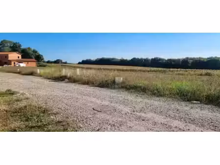 vente terrain 308 m² à montanay (69250)  179 000 €