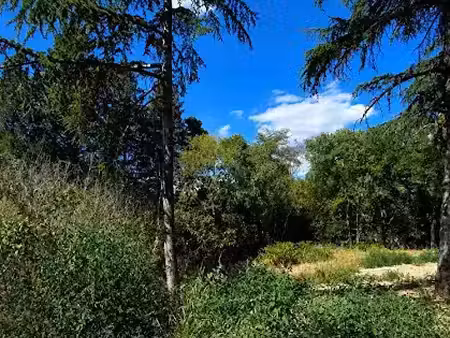 vente terrain 1200 m² à castelnau-le-lez (34170)  795 000 €