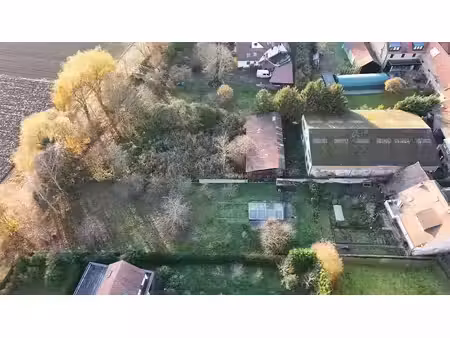 vente terrain 1500 m² à breuschwickersheim (67112)  380 000 €