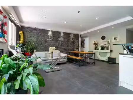 appartement 3 pièces avec terrasse et jardin - face à la marne - jamais innondé
