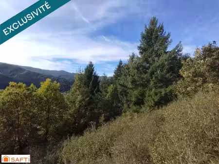 terrain avec très belle vue  8045m² et 1618m² constructibles