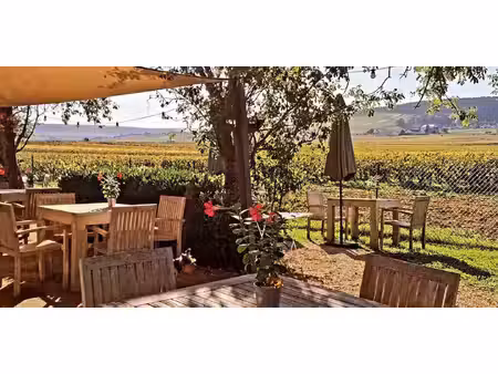 propriété volnay (21)