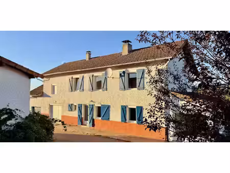 maison avec jardin chauffailles (71)