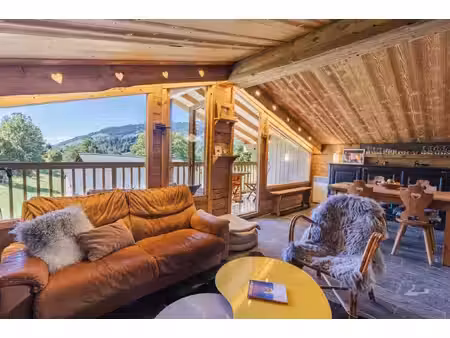 appartement chaleureux  3 chambres  skis aux pieds princesse