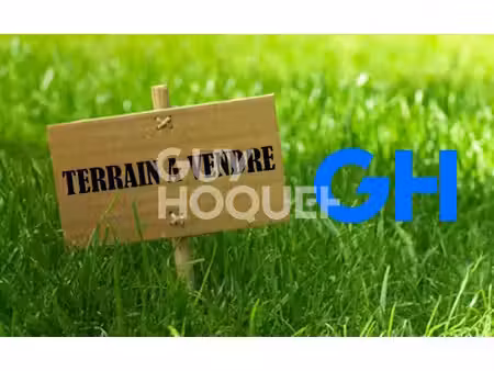 terrain milly la foret