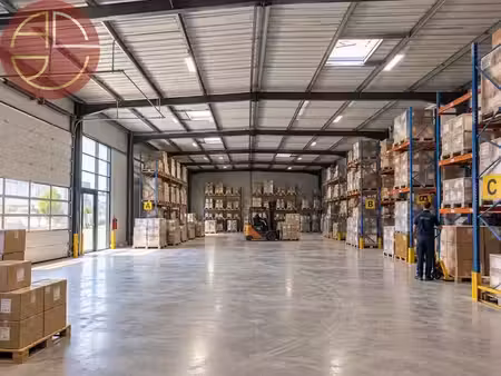 location locaux professionnels 1 pièce 1542 m² à toulouse (31000)  12 466 €