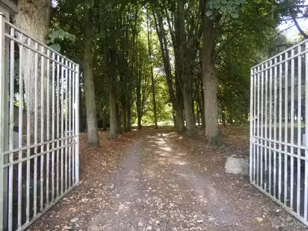 maison à vendre falaise 6 pièce(s) 250m2 555 000€