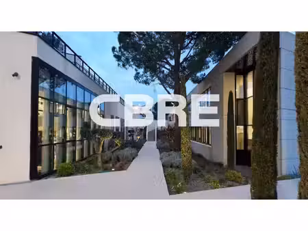 location bureau valbonne 319 m²