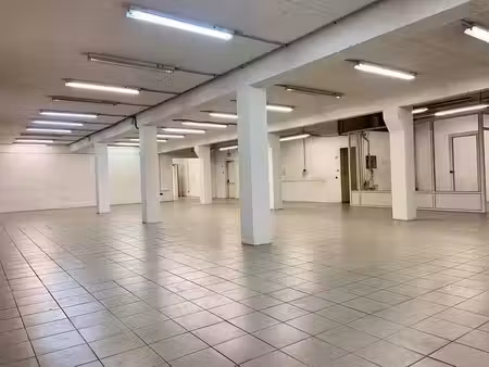 location local d'activités le chesnay 494 m²