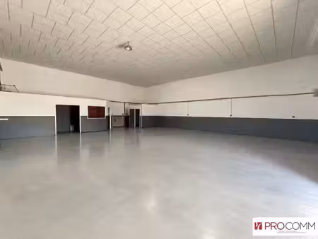 location local d’activités le thor 84250 240m²