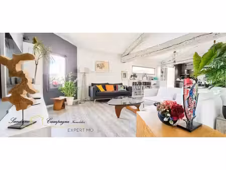 superbe t3 avec grande terrasse avec vue  vendu meublé