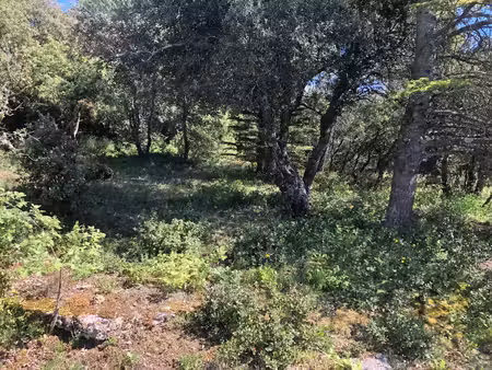 vente maison 13700 m² simiane-la-rotonde (04150)
