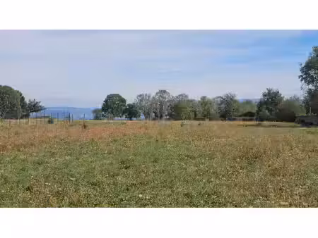 achat terrain 3 877m²