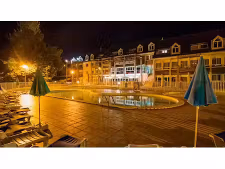 vente appartement 3 pièces 42 m² à entraygues-sur-truyère (12140)  39 000 €