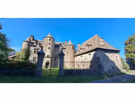 château classé monument historique saint-martin-sous-vigouroux (15)