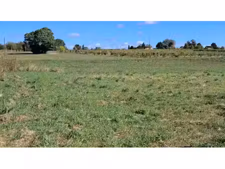 vente terrain 1673 m² à montendre (17130)  37 200 €