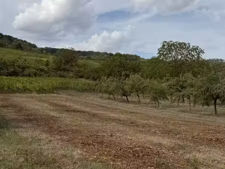 achat terrain 1 552m² westhoffen 67310