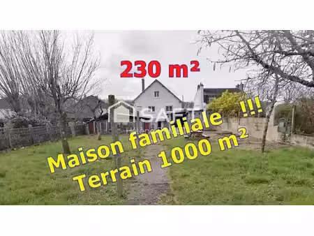 vente maison 7 pièces 230 m² vierzon (18100)