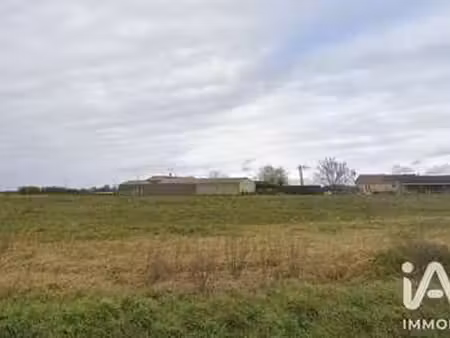 vente terrain à fronton (31620) : à vendre / 13600m² fronton