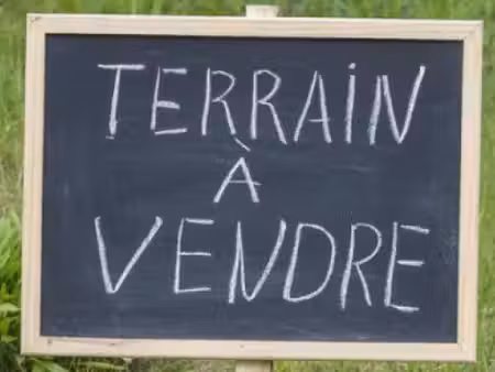vente terrain