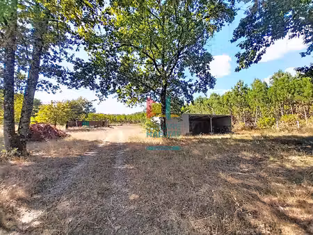 achat terrain 9 848m²