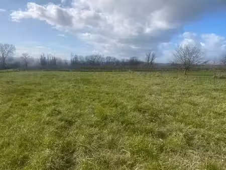 vente terrain 6200 m² monségur (33580)