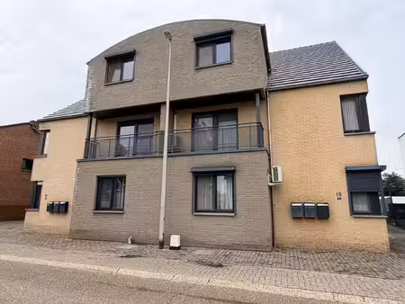 appartement te huur in maasmechelen met 2 slaapkamers