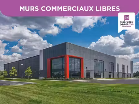 vente locaux professionnels 605 m² à pechbonnieu (31140)  890 000 €