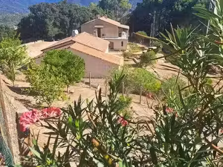 vente maison 4 pièces 75 m² à sainte-lucie-de-tallano (20112)  249 000 €