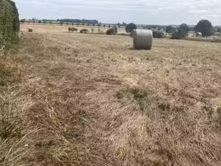 vente terrain à chaix (85200) : à vendre / chaix