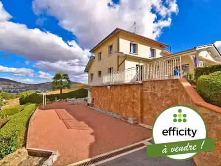 vente maison 7 pièces 164 m² à sainte-foy-l'argentière (69610)  389 000 €