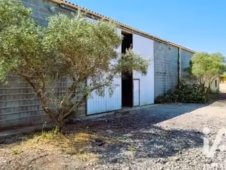 vente maison à puissalicon (34480) : à vendre / 1m² puissalicon