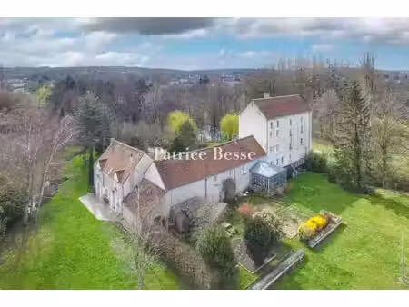 vente moulin 15 pièces 375 m² à saint-georges-sur-cher (41400)  695 000 €