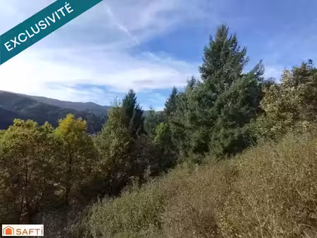 vente terrain à batir 8045 m² à saint-martin-de-valamas (07310)  65 000 €