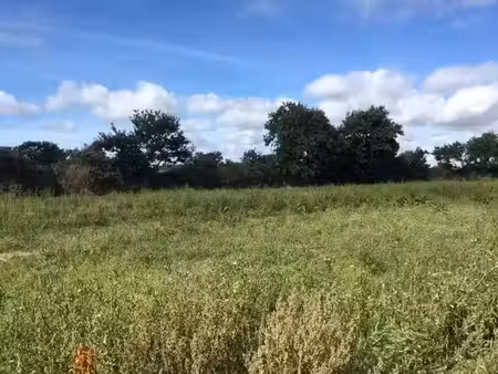 vente terrain 614 m² à dirinon (29460)  83 000 €